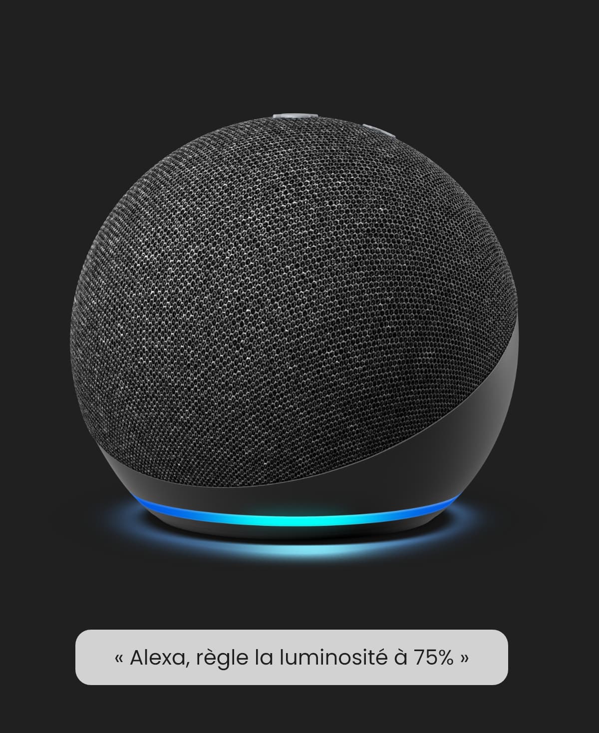 Commande vocale pour Alexa