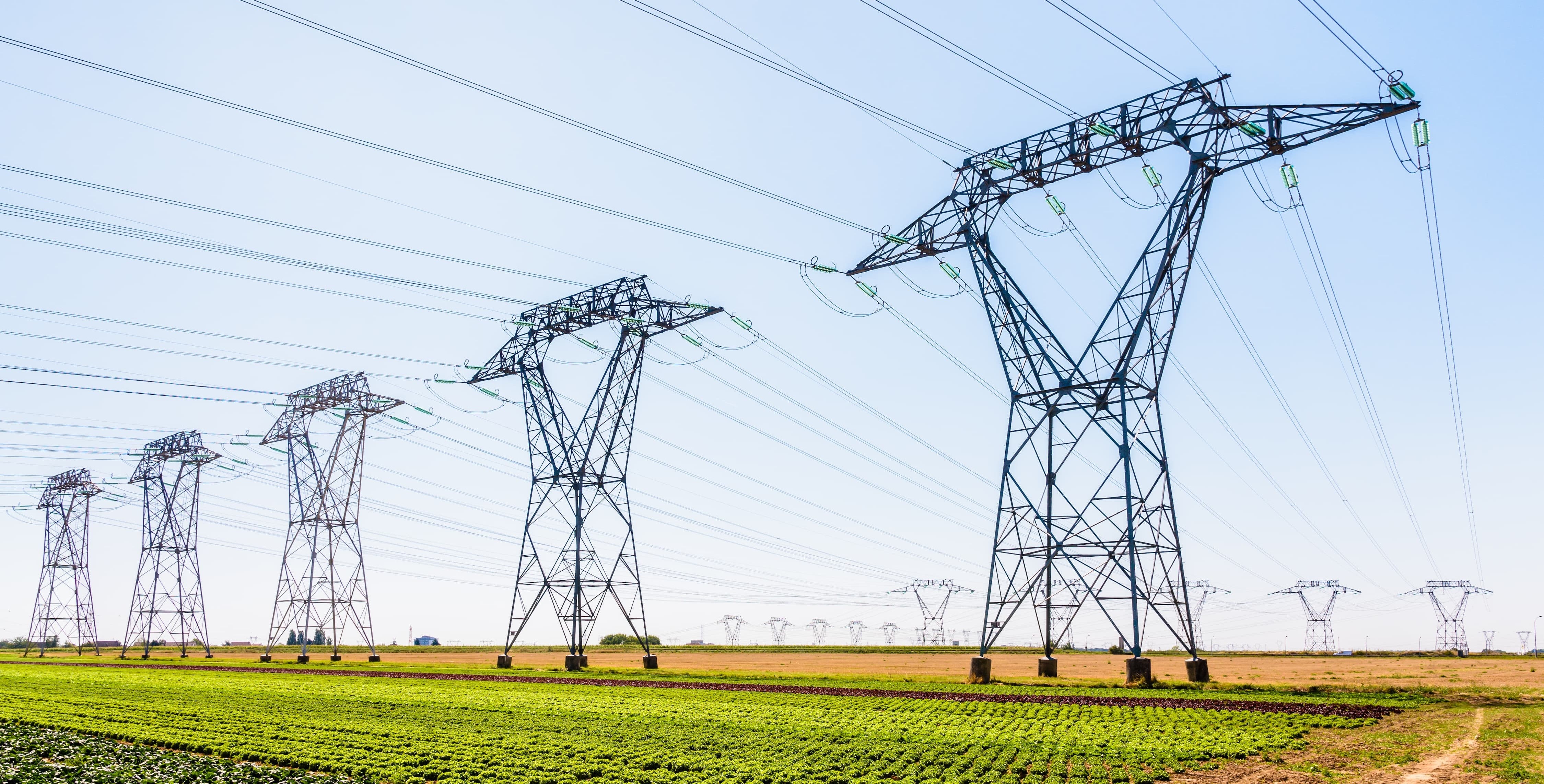 Electric pylons in a field